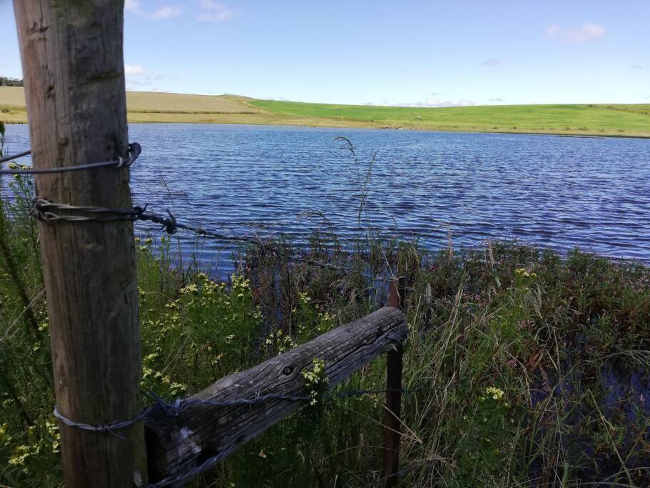 Sheeprun Farmstay Maclear Eksteriør bilde