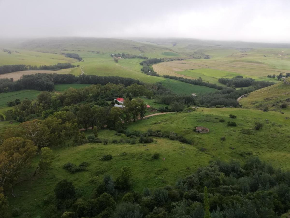Sheeprun Farmstay Maclear Eksteriør bilde