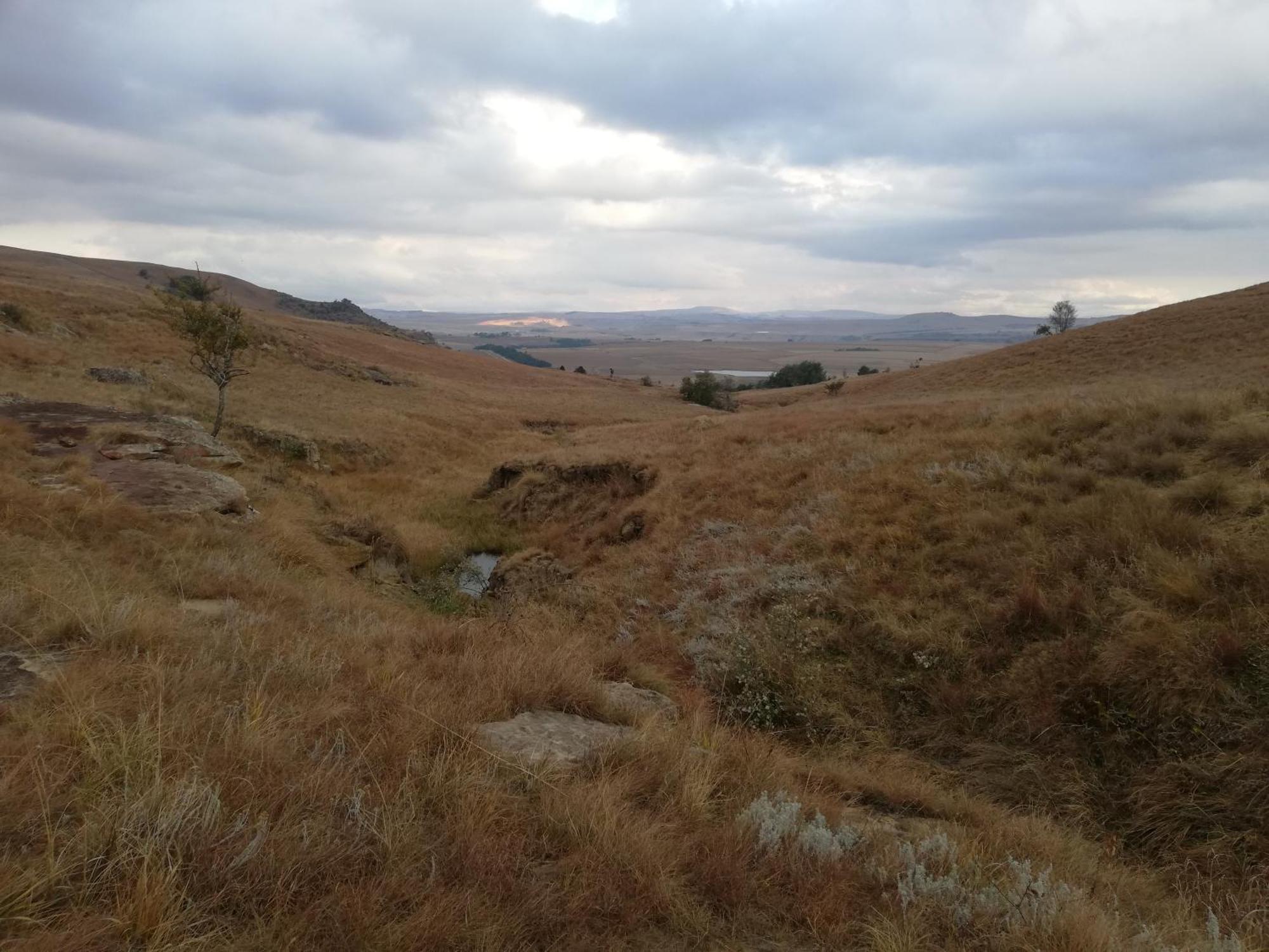 Sheeprun Farmstay Maclear Eksteriør bilde